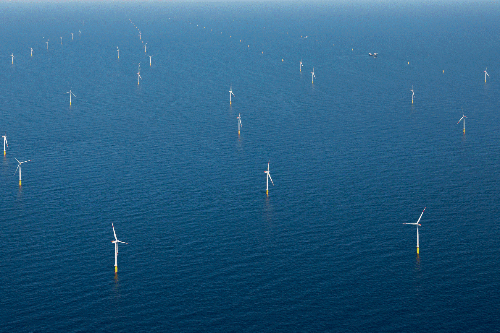 Aerial view DanTysk Wind Farm
